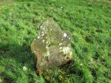 image of grave number 381493